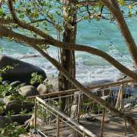 เสื่อผืน หมอนใบ คาเฟ่ 
