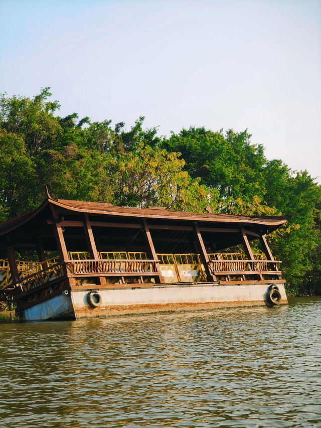 Haizhu Lake Park (海珠湖公园) SUP Paddleboarding, Guangzhou