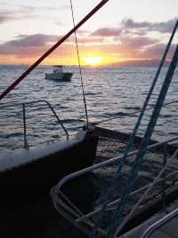 ホノルル5日間の旅