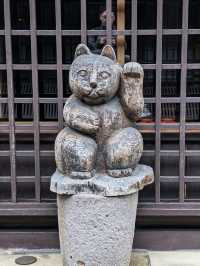 SANMACHI SUJI.