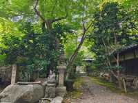 ⛩️綠色名古屋大佛【桃巖寺-下篇】