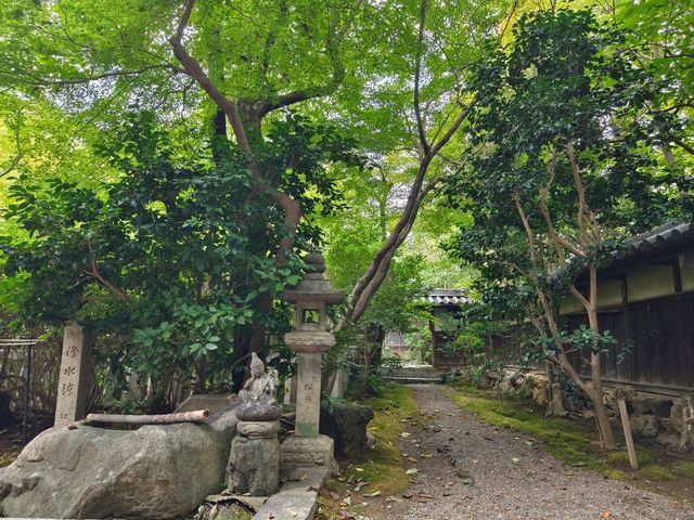 ⛩️綠色名古屋大佛【桃巖寺-下篇】