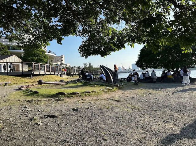 Odaiba Marine Park: Tokyo’s Seaside Escape