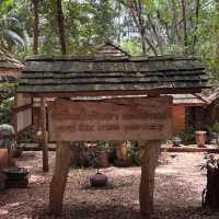 Doi Din Daeng Pottery , เชียงราย 
