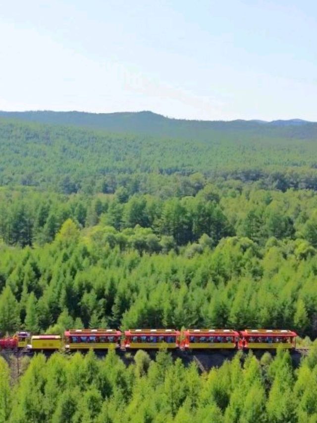 內蒙古5 天遊攻略🌳｜莫爾道嘎森林小火車📷
