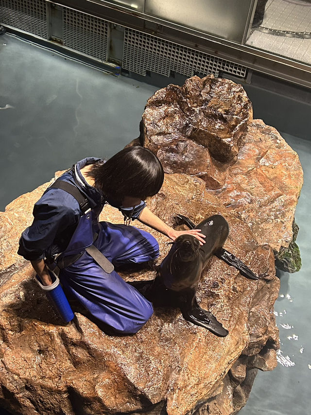 Sumida Aquarium🐠
