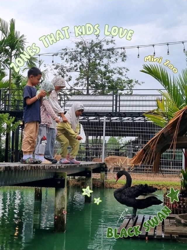 ดนุภูม คาเฟ่ฟาร์ม จ.สงขลา อ.หาดใหญ่