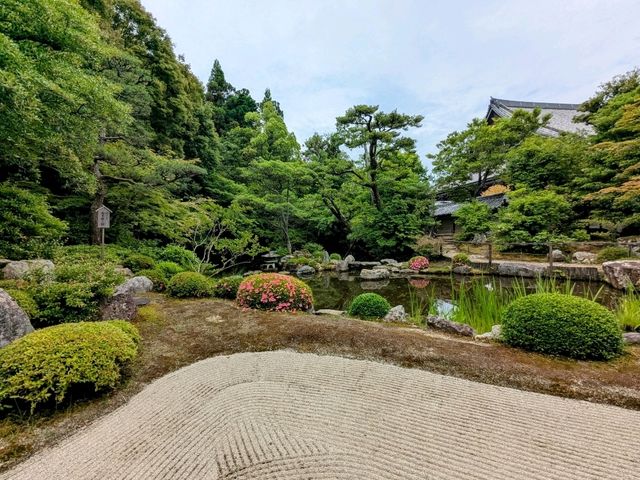 京都 | 方丈庭園，知恩院面向北條的名勝庭園