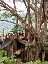 The Giant Chiangmai จ.เชียงใหม่