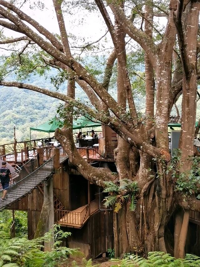 The Giant Chiangmai จ.เชียงใหม่