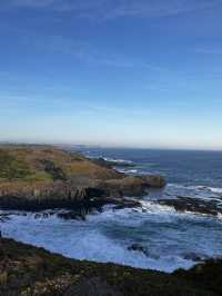 Phillip Island - The ultimate coastal escape 