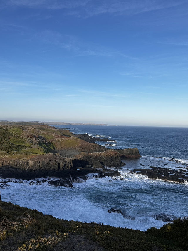 Phillip Island - The ultimate coastal escape 