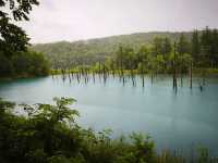 Hokkaido Road Trip