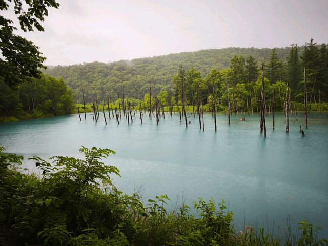 Hokkaido Road Trip