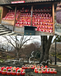 [Japan 🇯🇵] Katsuoji Temple: Where Wishes Come True (and Daruma Dolls Delight!)