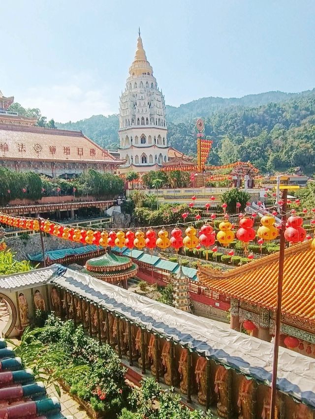 Lively Festivals & Night Life