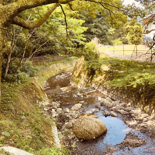 🌿 Solo Escape: Nakai-machi – Kanagawa’s Hidden Mountain Gem