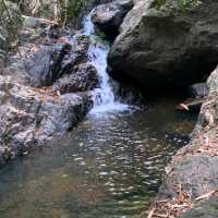 Bang Pae Waterfall & Gibbon Rehabilitation Center