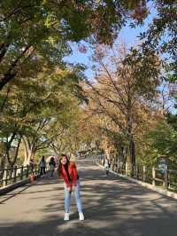 ✨ Touching the Sky at N Seoul Tower ✨