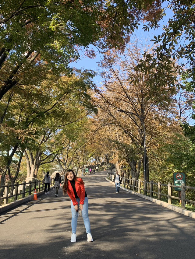 ✨ Touching the Sky at N Seoul Tower ✨