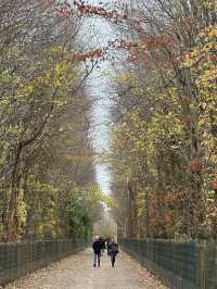 Versailles: Where Gold Leaf Hides Blood-Red Secrets