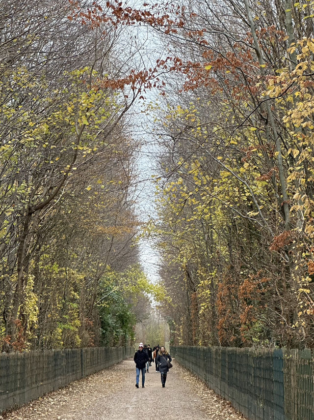 Versailles: Where Gold Leaf Hides Blood-Red Secrets