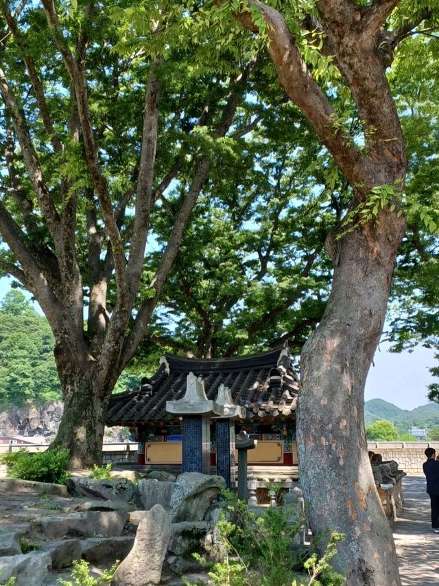 무진정, 물빛 가득한 가족 산책 명소!