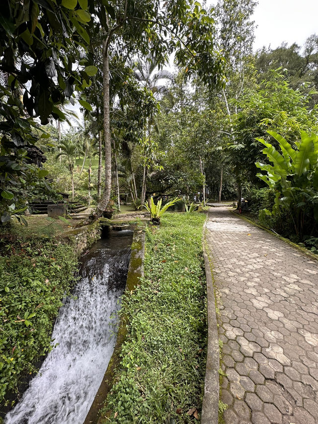Temple Treasures at Tirta Empul Traditional Market