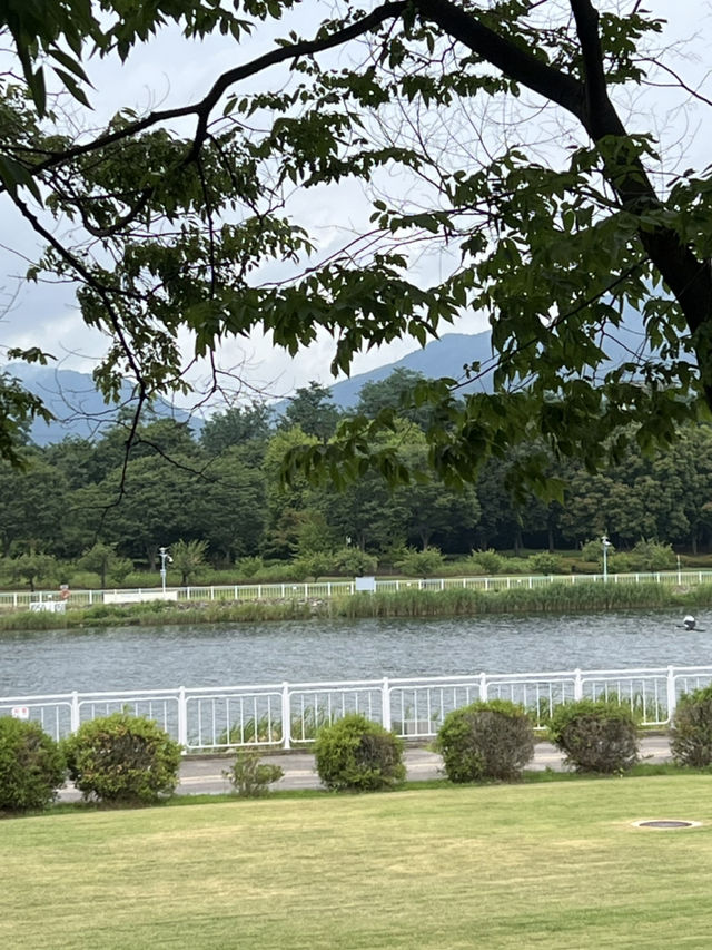 공원길을 걸어요