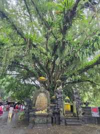 Sacred Pools & Stone Paths, Tirta Gangga’s Timeless Charm