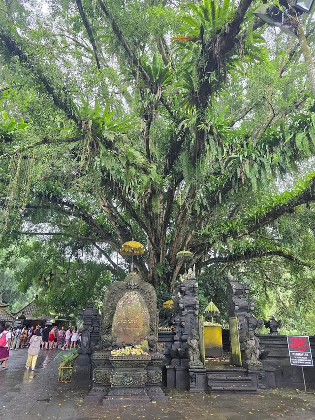 Sacred Pools & Stone Paths, Tirta Gangga’s Timeless Charm