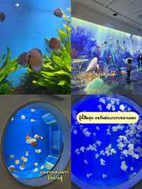 พิพิธภัณฑ์สัตว์น้ำเอ็กซ์พาร์ก Xpark (Xpark Aquariu