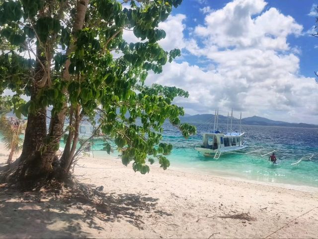 Straight-Up Paradise Goals