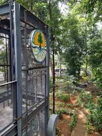 Arborea Cafe: The Chill Spot Beneath the Leaves