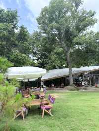 📍Living a dream cafe & playground ที่นี่สวยมากกกก