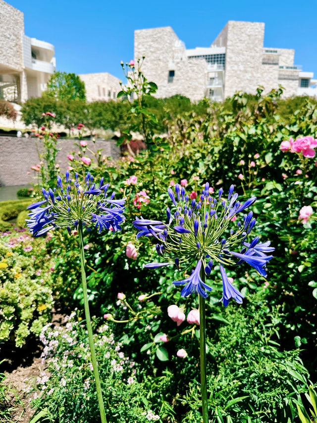 Getty Center 蓋蒂中心 | 洛杉磯藝術與建築的雙重饗宴 🎨