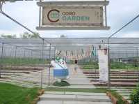 Organic lifestyle @ CORO Field 🍈🌿