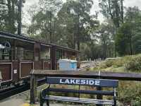 Puffing Billy Railway: A Centenary Steam Train Experience in Melbourne! 🚂🌳
