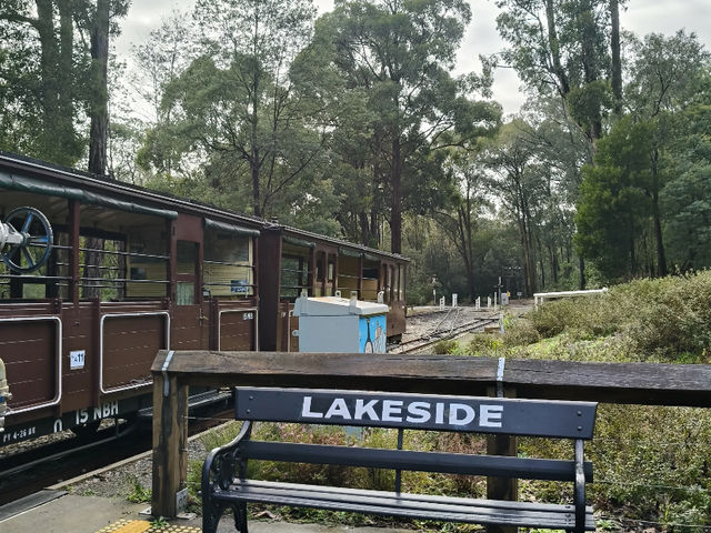 Puffing Billy Railway: A Centenary Steam Train Experience in Melbourne! 🚂🌳