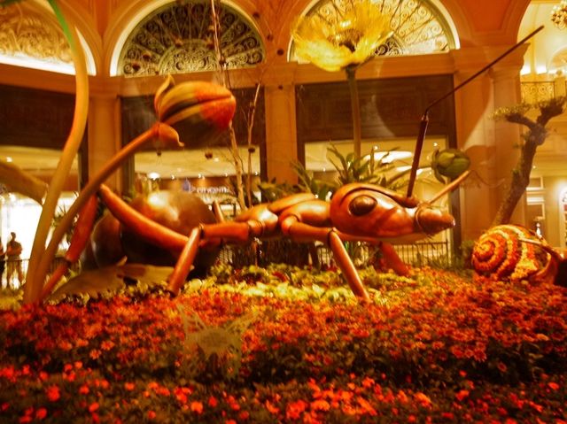 🌸 계절마다 테마가 바뀌는 실내 정원 – Bellagio Conservatory & Botanical Ga