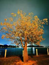 Moonlight Serenity at Cyberjaya Lakeside