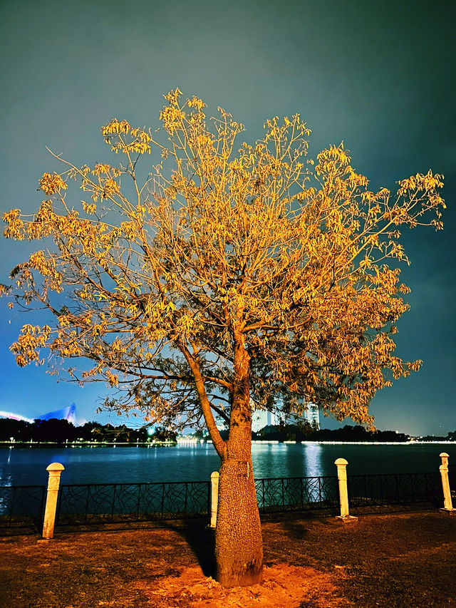 Moonlight Serenity at Cyberjaya Lakeside