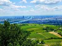 Kahlenberg, Vienna: The City’s Most Breathtaking Viewpoint 