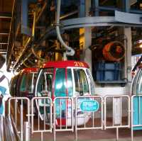 Ocean Park HongKong 🦭