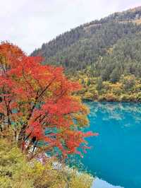 Chillin by Rhinoceros Lake in Sichuan: Blue Water Goals