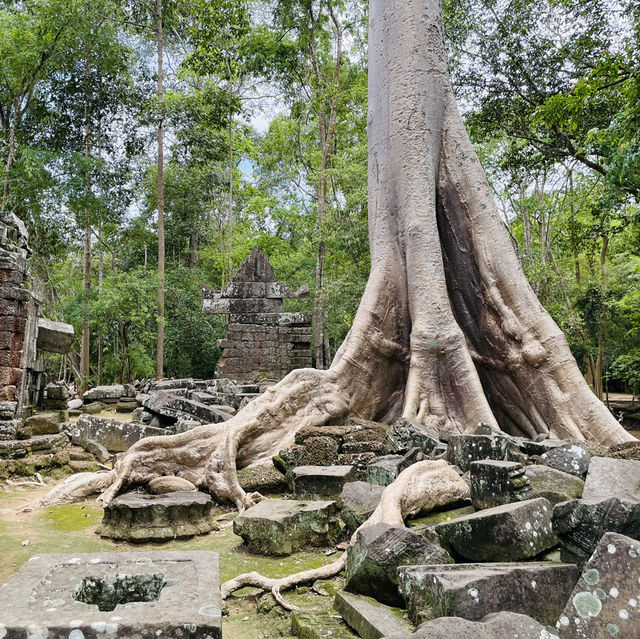 Learning about its role during the Khmer Empire👫👍🥰