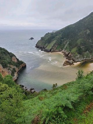 Coastal Daydreaming in Pechón