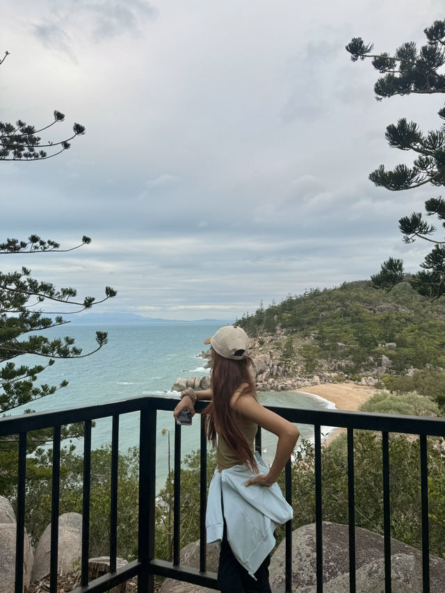 Finding koala on a cloudy day at magnetic island 🐨