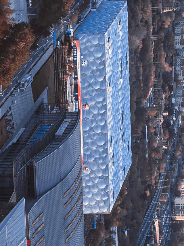 Water Cube: Where 100,000 Bubbles Inhale Olympic Ghosts And Chlorine Vapor’s Trade Medals For Ticket