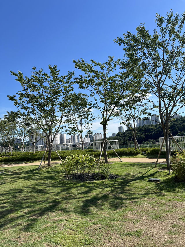 옥상정원의 풍경